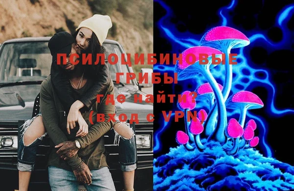 крисы Каменногорск