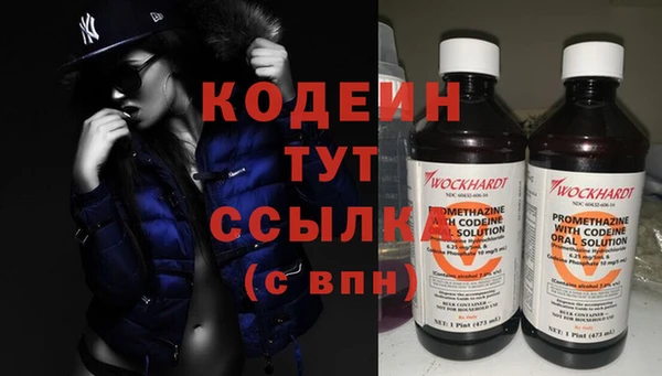 крисы Каменногорск