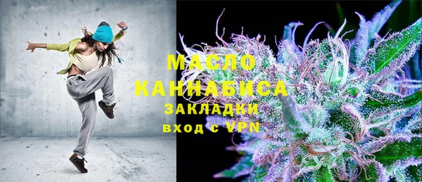 крисы Каменногорск