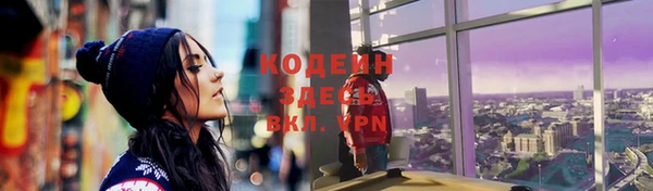 крисы Каменногорск