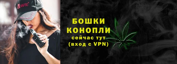 крисы Каменногорск
