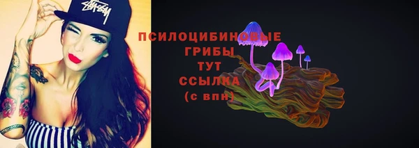 кокс Каменка