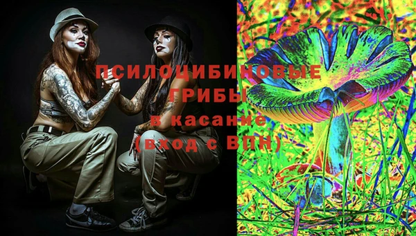 крисы Каменногорск