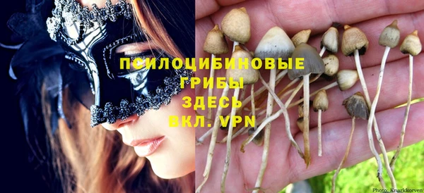 ALPHA-PVP Карпинск