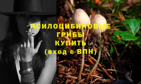 крисы Каменногорск