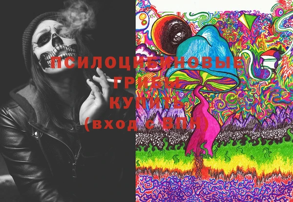 кокс Каменка
