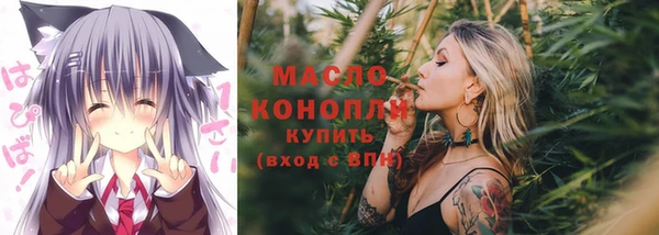 крисы Каменногорск