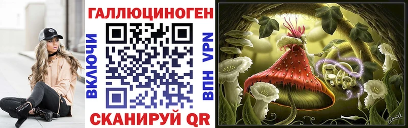 Купить где  Абаза  Псилоцибиновые грибы Psilocybe 